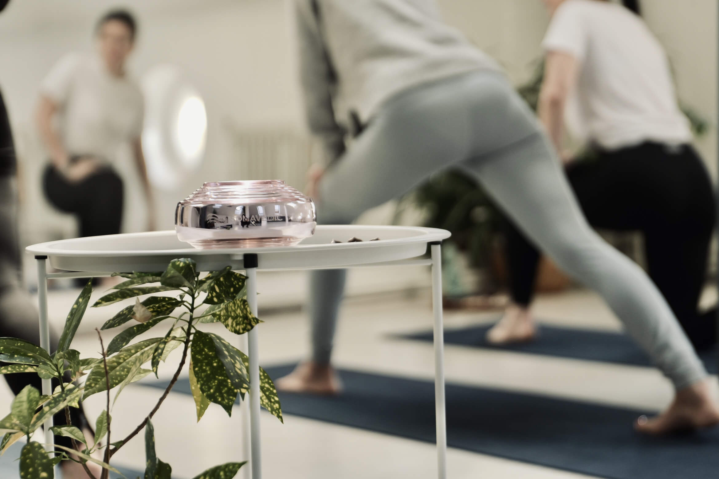 Somavedic Improves Regeneration and Performance